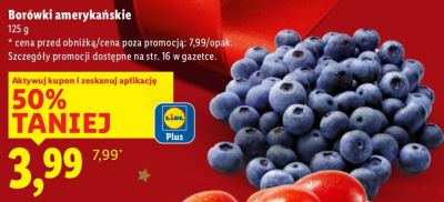 Borówki amerykańskie promocja w Lidl