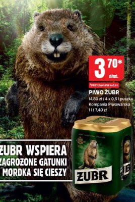Piwo Żubr promocja w Chorten