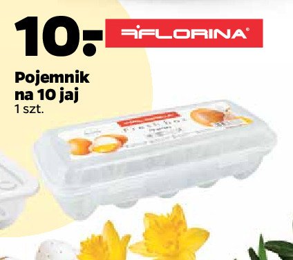 Pojemnik na 10 jaj fresh box Florina (florentyna) promocja