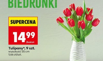Tulipany 9 szt. promocja w Biedronka