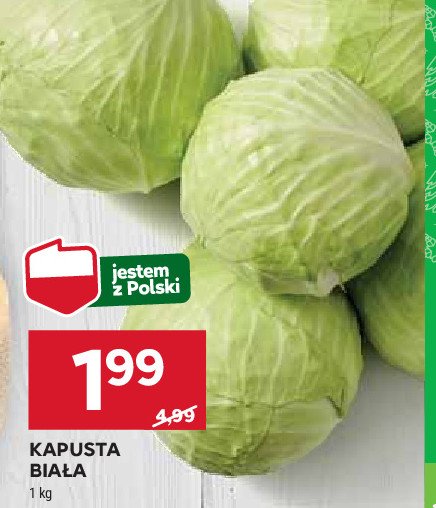 Kapusta biała promocja w Stokrotka