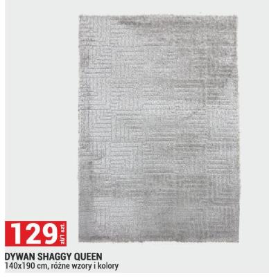 Dywan SHAGGY QUEEN 140x190 cm, różne wzory i kolory promocja w Merkury Market