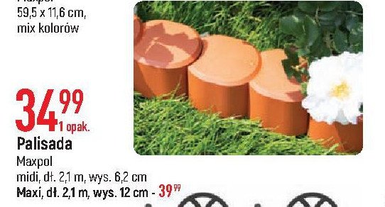 Palisada 2.1 m x 6.2 cm Maxpol ogr贸d promocja