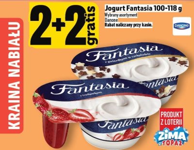 Jogurt Fantasia 100-118 g promocja w TOPAZ