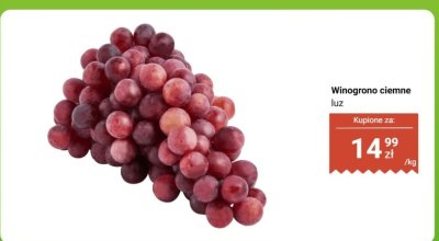 Winogrono ciemne luz promocja w Dino