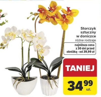 Storczyk sztuczny w doniczce różne rodzaje promocja w Carrefour