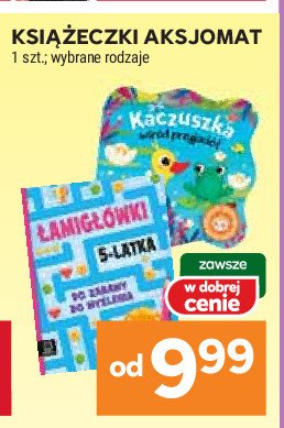 Łamigłówki 5-letniej główki promocja w Stokrotka