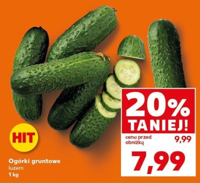 Ogórki gruntowe promocja w Kaufland