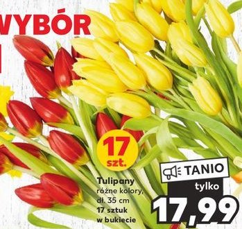 Tulipany 35 cm promocja