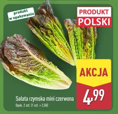 Sałata rzymska mini czerwona 2 szt. promocja w Aldi