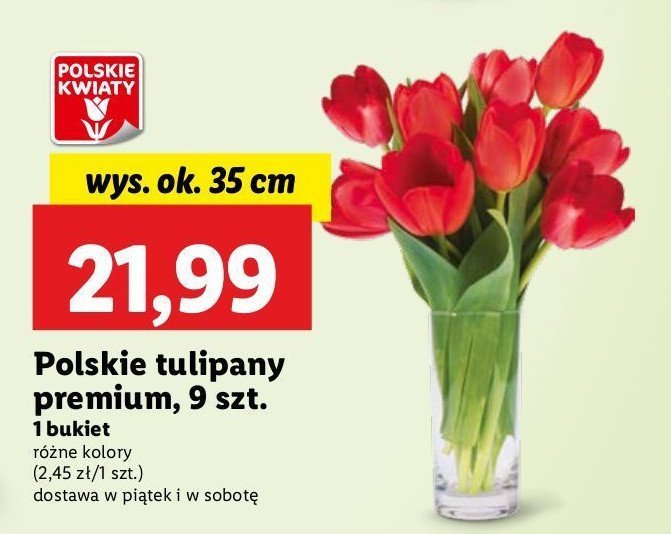 Tulipany premium 35 cm promocja