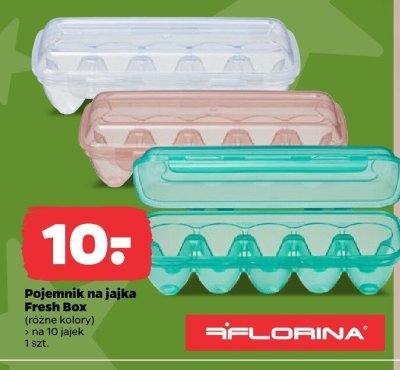 Pojemnik na jajka Fresh Box Florina promocja w Netto