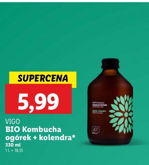 Kombucha z ogórkiem i kolendrą Vigo kombucha promocja