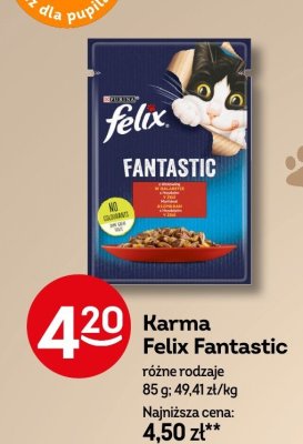 Karma Felix Fantastic różne rodzaje promocja w Żabka