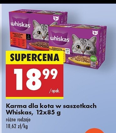 Potrawka w galaretce smaki wo艂owe Whiskas promocja