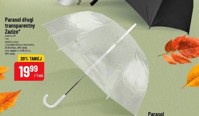 Parasol długi transparentny Zazizo promocja w POLOmarket
