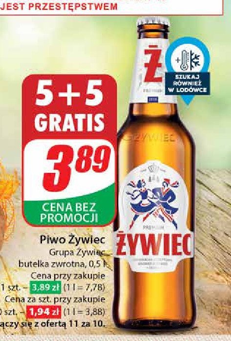 Piwo Żywiec jasne pełne promocja w Dino