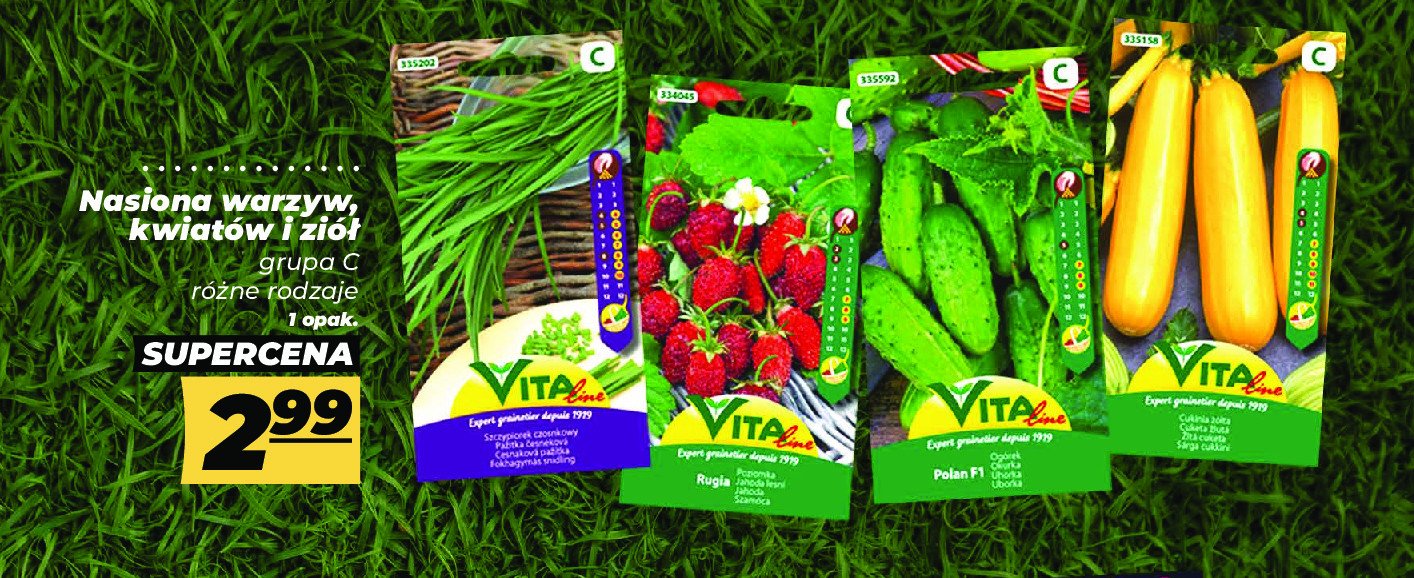 Nasiona ogórek gruntowy polan mieszaniec f1 gr.5 Vita promocja