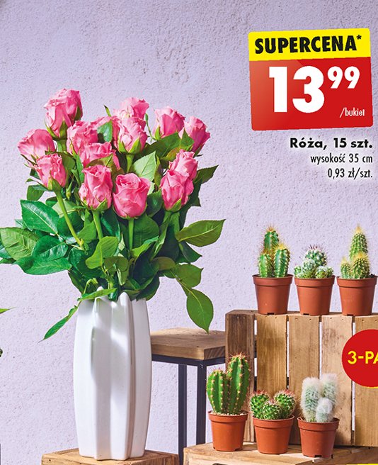 Róża 35 cm promocja