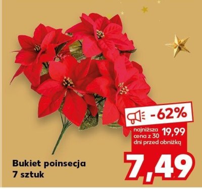 Bukiet poinsecja 3 sztuki promocja w Kaufland