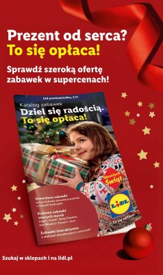 Katalog, strona 21 promocja w Lidl