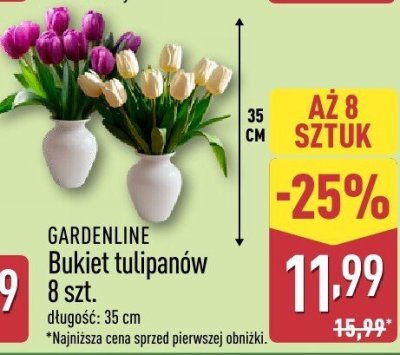 Bukiet tulipanów 8 szt. promocja w Aldi