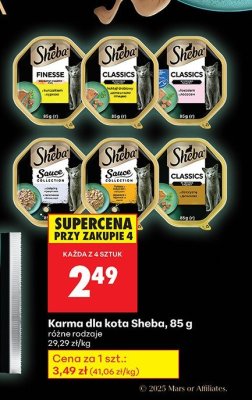 Karma dla kota 85 g promocja w Biedronka