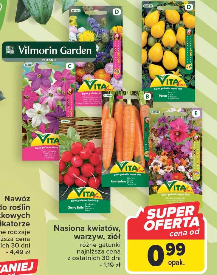 Nasiona marchewki Vita promocja