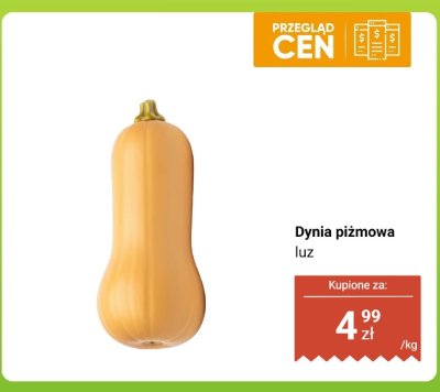 Dynia piżmowa luz promocja w Dino