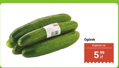 Ogórek promocja w Dino