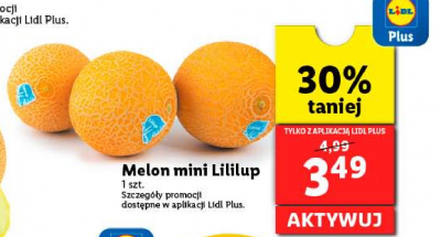 Melon lililup promocja