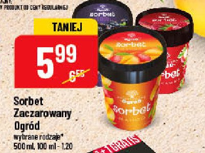 Sorbet z czarnej porzeczki Zaczarowany ogr贸d promocja
