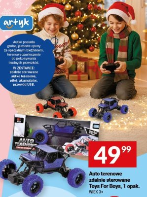 Auto terenowe zdalnie sterowane Toys For Boys, 1 opak. promocja w Twój Market