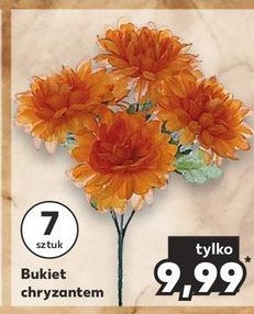 Bukiet chryzantem 7 kwiatów promocja