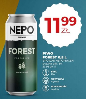 Piwo Forest 0,5 L promocja w Duży Ben