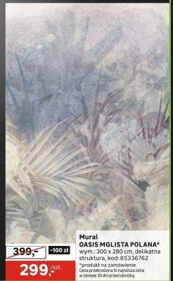 Mural OASIS MGLISTA POLANA promocja w Leroy Merlin