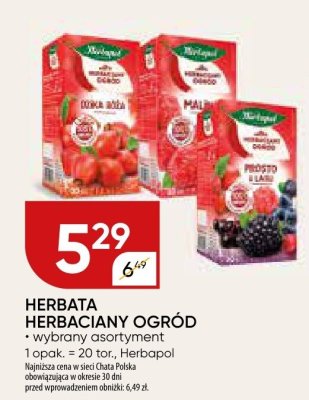 Herbata promocja w Chata Polska