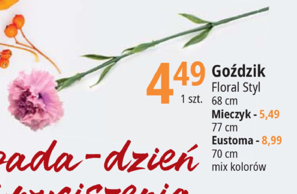 Go藕dzik Floral styl promocja