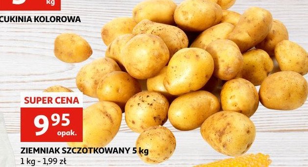 Ziemniak szczotkowany promocja