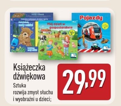 Książeczka dźwiękowa promocja w Aldi