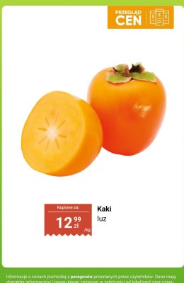 Kaki luz promocja w Dino