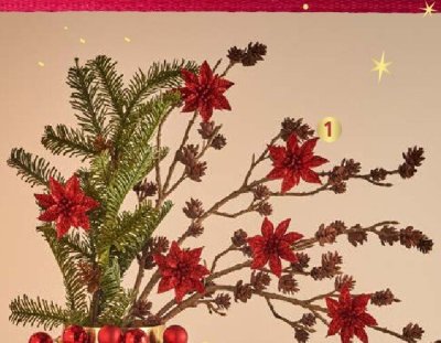 Gwiazda betlejemska 3 szt. promocja w Castorama