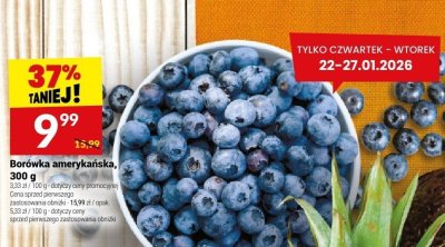 Borówka amerykańska, 300 g promocja w Twój Market