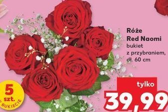 Róże red noami 60 cm promocja