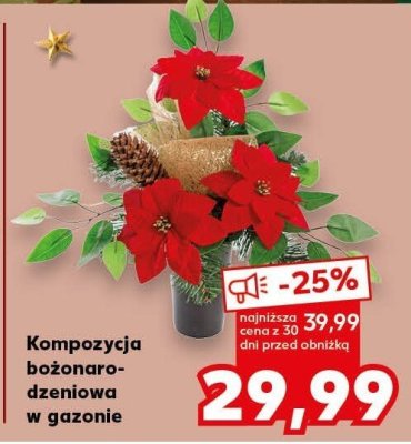 Kompozycja bożonarodzeniowa w gazonie promocja w Kaufland