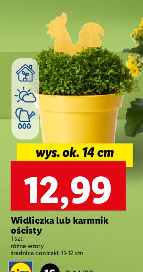 Karmnik o艣cisty promocja