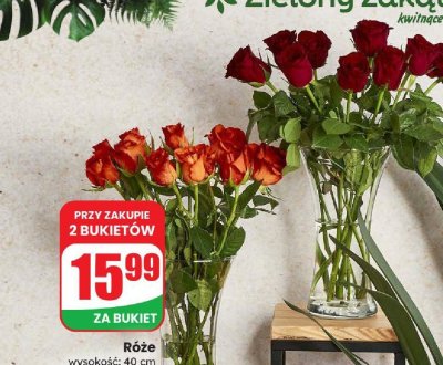 Róże bukiet 11 szt. promocja w Dino