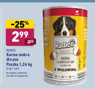 Karma dla psa z wołowina Romeo (karma) promocja