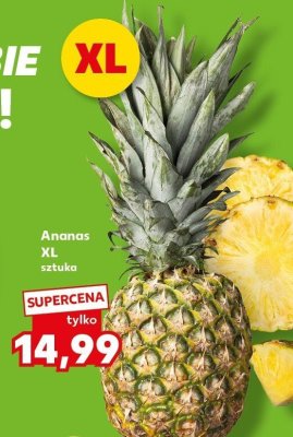 Ananas XL Kaufland promocja w Kaufland