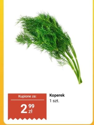 Koperek 1 szt. promocja w Biedronka